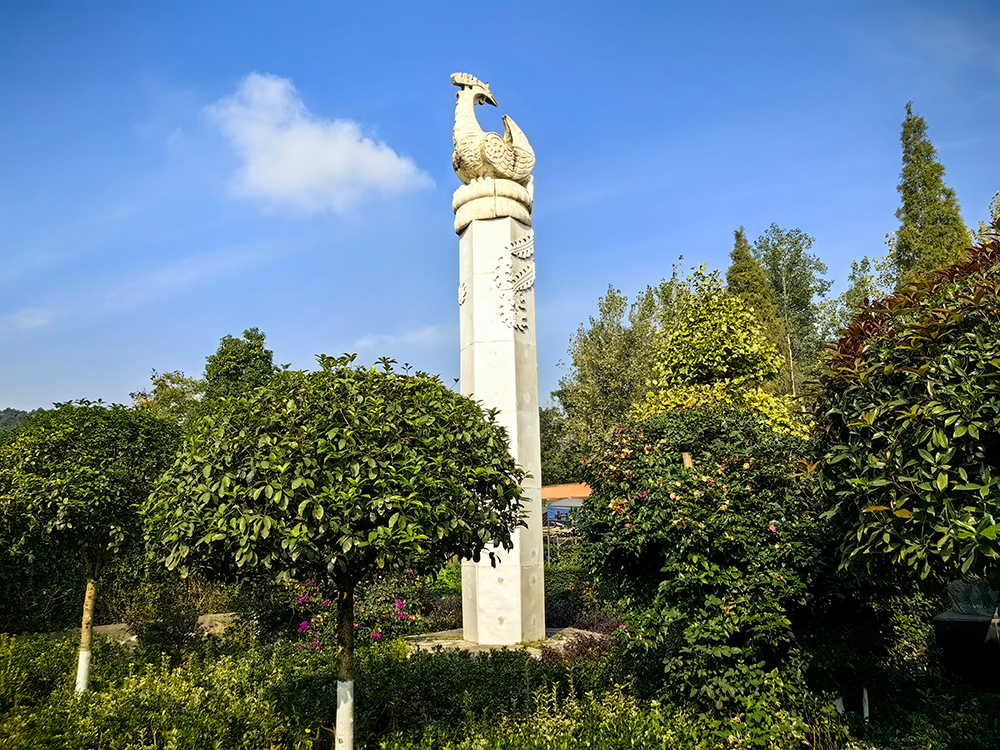 凤凰山公墓照片